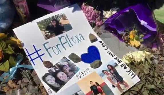 Alexa Flores Car Accident Peoria AZ